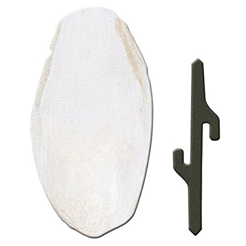 PA 4330 Cuttlefish Bone - 84330899 von Ferplast