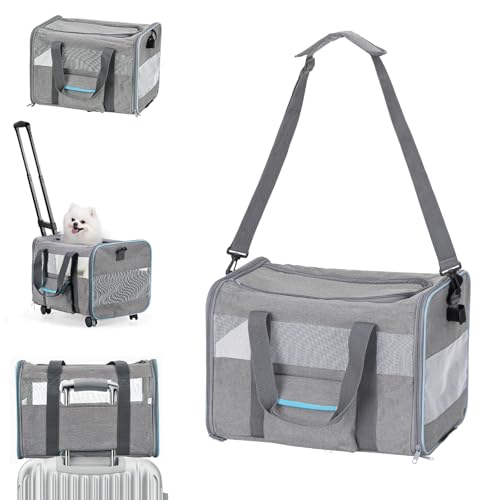FERRAFAY Haustier-Tragetasche für kleine Haustiere, Katzen- und Hundetrage für Auto, weiche Seiten, Rollbox, Katzen-Reisetasche bis zu 9 kg FERRAFAY Haustier-Tragetasche für kleine Haustiere, Katzen- und Hundetrage für Auto, weiche Seiten, Rollbox, Katzen-Reisetasche bis zu 9 kg von Ferrafay