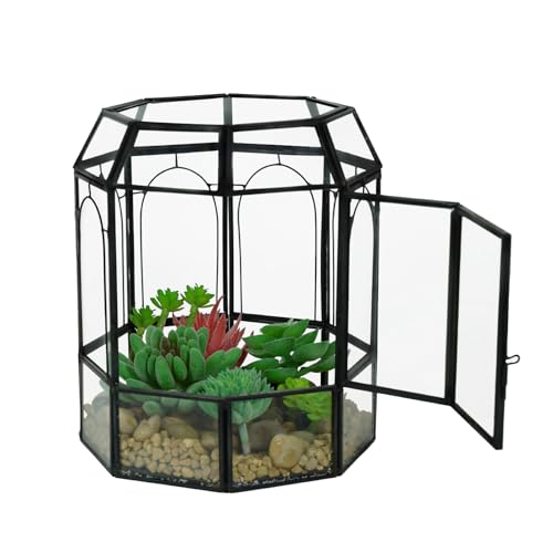 Ferrisland Glas-Terrarium mit Deckel, schwarzes geometrisches Glas für Sukkulenten, Luft, fleischfressende Pflanze, Moosschnecke, Vogelkäfigform, Tisch-Gewächshaus, Innendekoration, DIY-Geschenke von Ferrisland