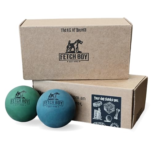 Fetch Boy The O.G. of Bounce Hundespielzeug aus solidem Schaumstoff, hergestellt in den USA, 6,3 cm, zum Apportieren von Rassen, 2 Stück in Geschenkbox Fetch Boy The O.G. of Bounce Hundespielzeug aus solidem Schaumstoff, hergestellt in den USA, 6,3 cm, zum Apportieren von Rassen, 2 Stück in Geschenkbox von Fetch Boy