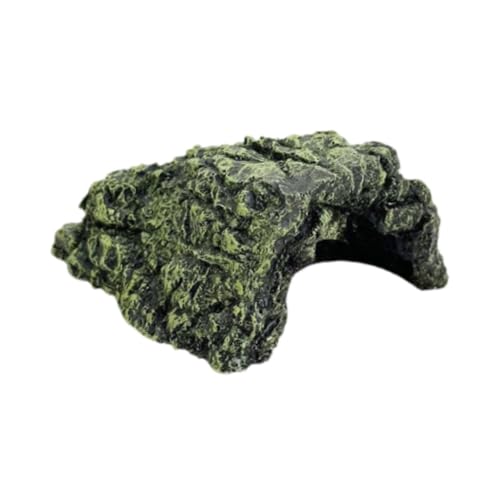 FewNvWa Aquatische Schildkröten Backenplattform, Habitat Nest Reptiles Dock Ruhen, Aquatische Reptilienrampe für Schildkröten Terrrapin Bart FewNvWa Aquatische Schildkröten Backenplattform, Habitat Nest Reptiles Dock Ruhen, Aquatische Reptilienrampe für Schildkröten Terrrapin Bart von FewNvWa