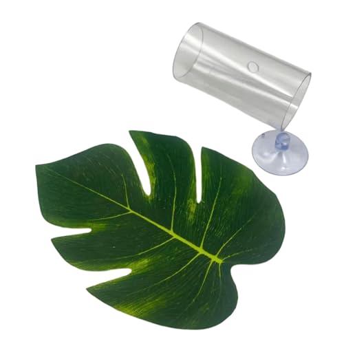 FewNvWa Betta Fischröhrentunnel, Hohl, Betta Versteck, Höhle, Lebensraum, Transparent, Aquarium Dekor, Versteck mit Blattpolster, Fischtank Dekoration FewNvWa Betta Fischröhrentunnel, Hohl, Betta Versteck, Höhle, Lebensraum, Transparent, Aquarium Dekor, Versteck mit Blattpolster, Fischtank Dekoration von FewNvWa
