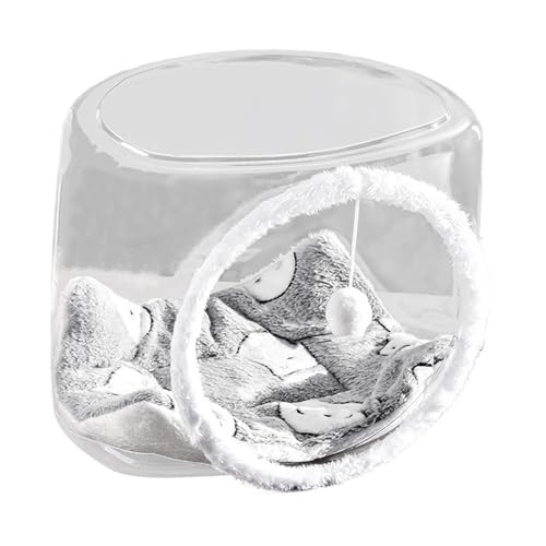 FewNvWa Katzenbett mit transparentem Design, Spielball und Aktivitätsbereich für Katzen im Innenraum, Quadratische FewNvWa Katzenbett mit transparentem Design, Spielball und Aktivitätsbereich für Katzen im Innenraum, Quadratische von FewNvWa