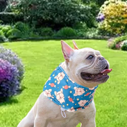 FewNvWa Kühlendes Bandana für Hunde, Verstellbares Halstuch für Sommeraktivitäten, Blue and M von FewNvWa