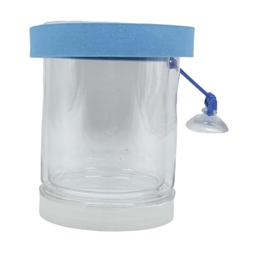 FewNvWa Schwimmende Fischisolation Box für Betta Und Guppy Zucht Im Aquarium, Groß Blau von FewNvWa