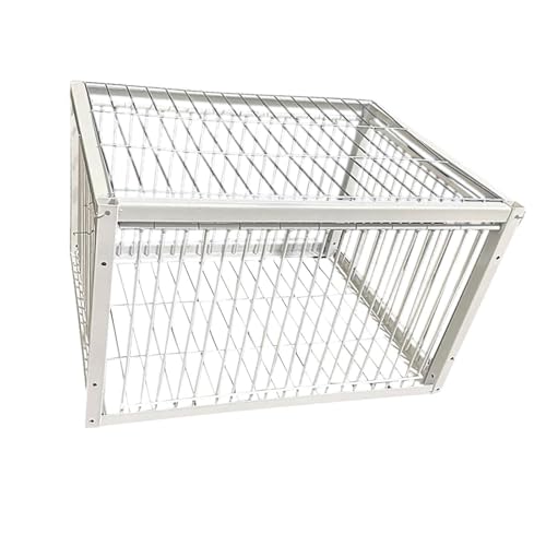 Taubenkäfig, Taubenstall, automatisches Taubensammeltier für, Feral, 4 Eingang von FewNvWa