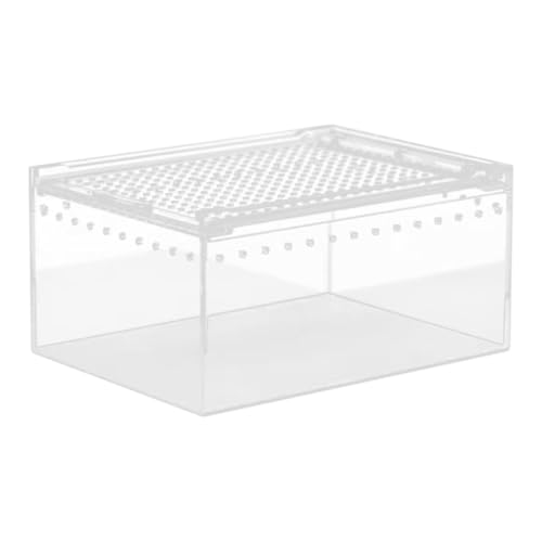 FewNvWa Transparente Box für Reptilienfutter und Lebensraum, 20cmx15cmx10cm FewNvWa Transparente Box für Reptilienfutter und Lebensraum, 20cmx15cmx10cm von FewNvWa