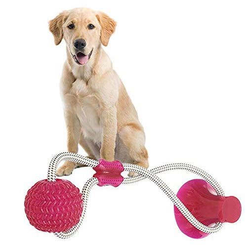 Fewao Multifunktions-Spielzeug für Haustiere, selbstspielend, Hüpfball mit starkem Saugnapf, langlebiges Hundeseil-Spielzeug zur Reinigung von Zähnen für kleine, mittelgroße und große Hunde von Fewao