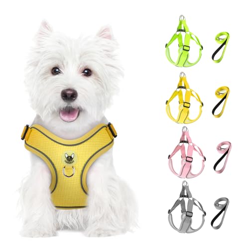 Feycig Hundegeschirr Kleine Hunde, Anti Zug Einstellbar Reflektierend Geschirr, Atmungsaktiv Weiches aus Mesh Geschirr Hund Leichtes Welpengeschirr Brustgeschirr mit Griff (Gelb, X-Small) von Feycig