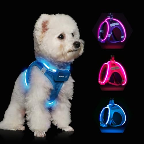 Feycig Leuchtend Hundegeschirr LED Aufladbar - Leuchtgeschirr Leuchtendes & Reflektierendes für Welpe Klein Mittlere Hund, Brustgeschirr Hundegeschirr, Atmungsaktiv Leucht Geschirr (Blau, Medium) von Feycig