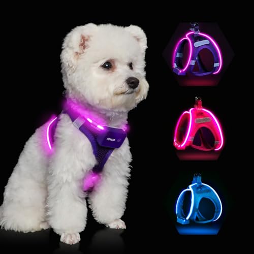 Feycig Leuchtend Hundegeschirr LED Aufladbar - Leuchtgeschirr Leuchtendes & Reflektierendes für Welpe Klein Mittlere Hund, Brustgeschirr Hundegeschirr, Atmungsaktiv Leucht Geschirr (Lila, X-Small) von Feycig