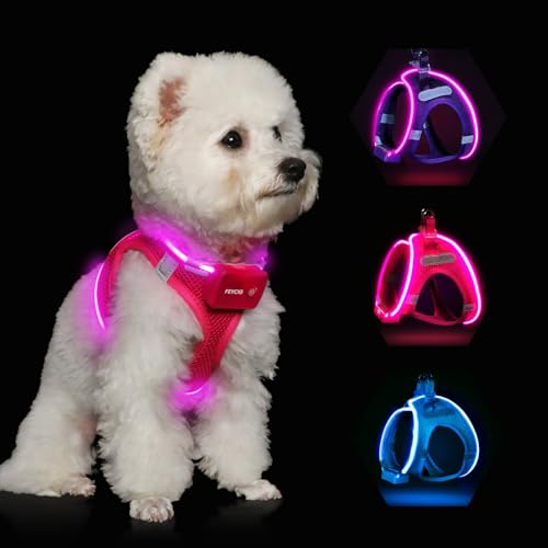 Feycig Leuchtend Hundegeschirr LED Aufladbar - Leuchtgeschirr Leuchtendes & Reflektierendes für Welpe Klein Mittlere Hund, Brustgeschirr Hundegeschirr, Atmungsaktiv Leucht Geschirr (Pink, Medium) von Feycig