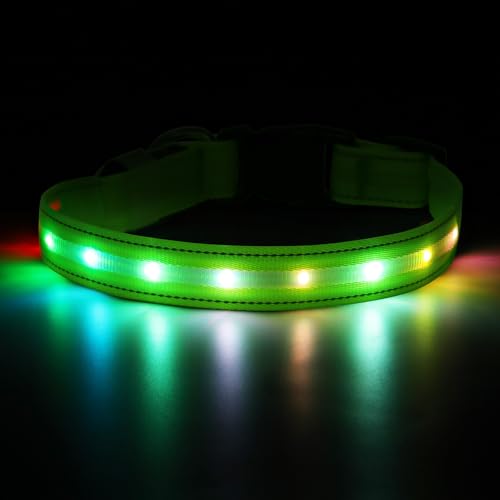 Feycig Leuchthalsband Hund Halsband Aufladbar - LED Hundehalsband Leuchtend USB Wasserdicht Einstellbare, 3 Modi, Leuchthalsband für Kleine Mittlere Große Hunde (Hellgrün, M(38-50cm/15-19.7inch)) von Feycig