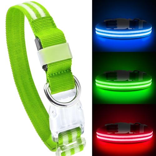 Feycig Leuchthalsband Hund USB Aufladbar - LED Hundehalsband Leuchtend Wasserdicht Leuchtendes Hunde Halsband Einstellbare für Kleine Mittlere Große Hunde, 3 Modi von Feycig