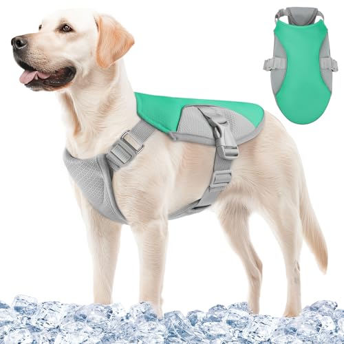 Kühlweste für Hunde, Größe XL, Grün von Feycig