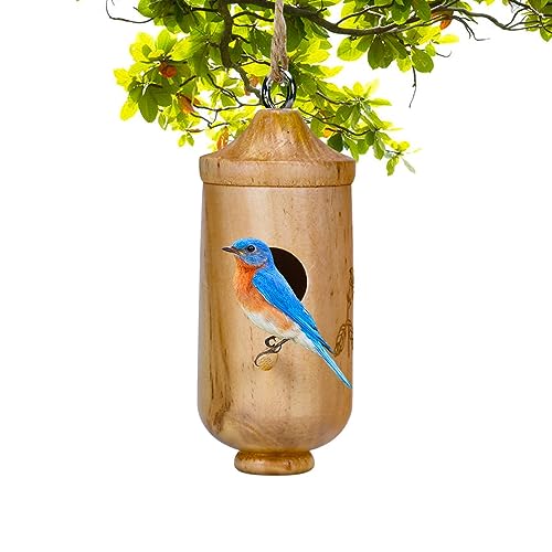 Feziwurs Kolibri-Nest | Spatzhaus aus Holz mit Schaukel – Nest aus Naturholz für Vögel aus Holz von Feziwurs