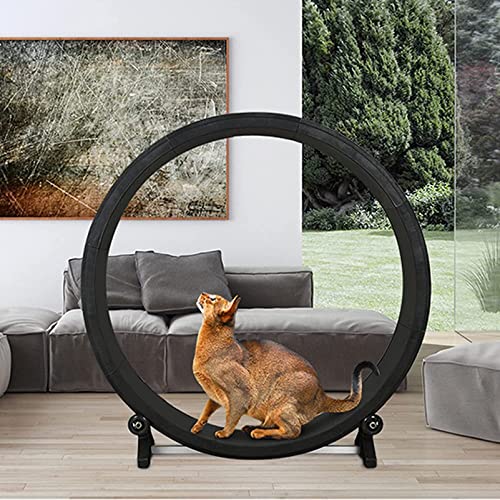 Fhdisfnsk Katzenlaufband Haustier Katzenklettergerüst, Katzenlaufrad Haustier Laufband Silent Cat Laufband, Katzen Fitness Gewichtsverlust Sportspielzeug Für Kleine/mittelgroße Katzen 220Ib Fhdisfnsk Katzenlaufband Haustier Katzenklettergerüst, Katzenlaufrad Haustier Laufband Silent Cat Laufband, Katzen Fitness Gewichtsverlust Sportspielzeug Für Kleine/mittelgroße Katzen 220Ib von Fhdisfnsk
