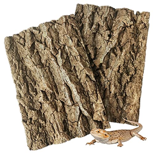 Fhiny 2 Stück Kork-Terrarium-Hintergrund, natürliche Korkrinde, Hintergrund für Reptilien, Klettern, Wand, Terrarium, Dekoration für Schildkrötenbär, Drachen, Chamäleon, Schlange Fhiny 2 Stück Kork-Terrarium-Hintergrund, natürliche Korkrinde, Hintergrund für Reptilien, Klettern, Wand, Terrarium, Dekoration für Schildkrötenbär, Drachen, Chamäleon, Schlange von Fhiny