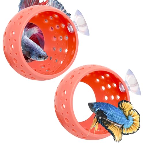 Fhiny Betta-Tunnel, 2 Stück, Aquarium, Betta-Fischversteck mit Saugnapf, Aquarium-Tunnel, Garnelen-Höhle, Aquarium-Ornament, Aquarium-Zubehör, für kleine Fische, Garnelen, Betta, Guppy, Verstecken von Fhiny