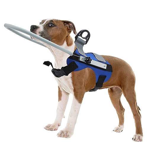 Fhiny Blind Dog Harness Guiding Device, Blind Dog Halo Guide Pet Harness Anti-Kollision Ring Puppy Bumper Build Confidence Collar Vest for Blind Dog Supplies Accessories - Blue von Fhiny