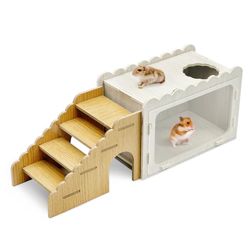 Fhiny Hamsterversteck Holzkammer mit Kletterleiter, Sichtbarer Hamster Grabkasten mit Acryl Transparent Board Rennmaus Plattform Erkundung Haus Lebensraum Dekor für Zwerghamster Rennmäuse Mäuse Fhiny Hamsterversteck Holzkammer mit Kletterleiter, Sichtbarer Hamster Grabkasten mit Acryl Transparent Board Rennmaus Plattform Erkundung Haus Lebensraum Dekor für Zwerghamster Rennmäuse Mäuse von Fhiny