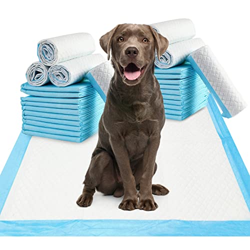 Fhiny Hunde-Pee-Pads, 61x91.4 cm, Einweg-Welpenunterlagen, auslaufsicher, super saugfähig, für Töpfchentraining, Hunde, Kaninchen oder andere Haustiere (20 Stück) von Fhiny