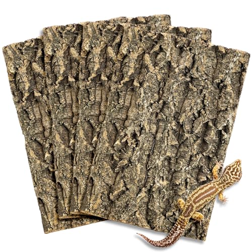 Fhiny Korkrinden-Hintergrund, 29,5 x 19,6 cm, natürliche Korkrinde für Reptilien, Bartdrachen, Kletterhintergrund, Terrarium, Lebensraum, Wanddekoration, Zubehör für Schildkröte, Gecko, Eidechse, Fhiny Korkrinden-Hintergrund, 29,5 x 19,6 cm, natürliche Korkrinde für Reptilien, Bartdrachen, Kletterhintergrund, Terrarium, Lebensraum, Wanddekoration, Zubehör für Schildkröte, Gecko, Eidechse, von Fhiny
