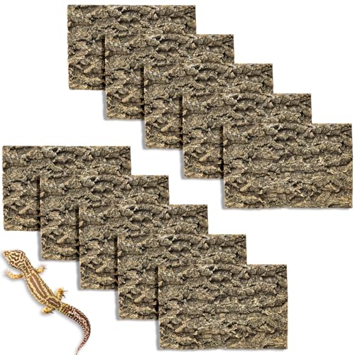 Fhiny Korkrinden-Hintergrund, 29,5 x 19,6 cm, natürliche Korkrinde für Reptilien, Bartdrachen, Kletterhintergrund, Terrarium, Lebensraum, Wanddekoration, Zubehör für Schildkröte, Gecko, Eidechse Fhiny Korkrinden-Hintergrund, 29,5 x 19,6 cm, natürliche Korkrinde für Reptilien, Bartdrachen, Kletterhintergrund, Terrarium, Lebensraum, Wanddekoration, Zubehör für Schildkröte, Gecko, Eidechse von Fhiny