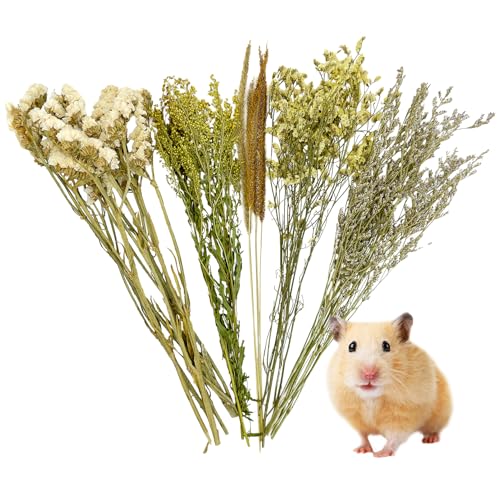 Fhiny Natürliche Hamster-Einstreu, Blumen- und Kräutereinstreu, Mate, Hamstersprays, Rennmaus, Lebensraum, Dekor-Zubehör für Zwerg, Syrischer Hamster, Rennmaus, Mäuse, Degus, Lemming oder andere Fhiny Natürliche Hamster-Einstreu, Blumen- und Kräutereinstreu, Mate, Hamstersprays, Rennmaus, Lebensraum, Dekor-Zubehör für Zwerg, Syrischer Hamster, Rennmaus, Mäuse, Degus, Lemming oder andere von Fhiny
