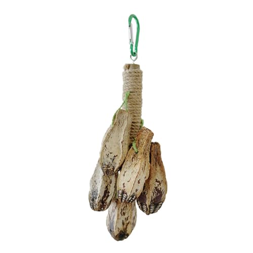 Fhkpsqkcn Vogelschleife Und Unterhaltung Molar Spielzeug Aus Natürlichen Materialien Und Farbstoffen Aus Lebensmitteln Verstärkt Die Gesundheit Der Vogelmolar. von Fhkpsqkcn