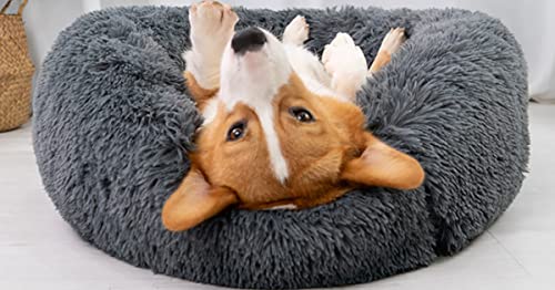 Fhodigogo Donut-Hunde- und Katzenbett, beruhigendes Hundebett, mittelgroßes Donut-Hundebett, rundes Hundebett, Katzen-Donut-Bett, Plüsch-Katzenbett, großes Katzenbett (55 x 13 cm/L) von Fhodigogo