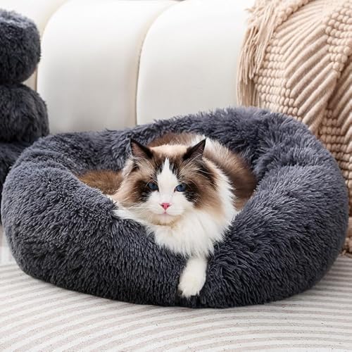 Hundebett Donut Hundebetten Kleine Hunde Donut Katzenbett Hunde Kuschelbett Katzenbett Rund Hunde Kuschelbett Hundebett Rund Hundekissen Bett Für Katzen Tierbett Bett Für Kleine Hunde (Für 5KG) von Fhodigogo