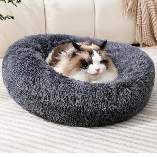 Fhodigogo Hundebett rund Hundekissen hundekissen Katzenbett katzenkissen hundebett kleine Hunde Donut Hundebett Kleine Hunde Bett Katzendecke Hundedeck für Katzen und kleine Hunde (M for 5KG) von Fhodigogo