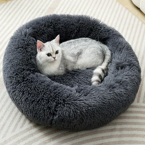 Plush Donut Dog bed Donut Cat Bed Dog Bed Kittens Beds Small Pet Bed Cat Beds For Indoor Cats Pet Bed Cat Bed Cave Puppy Bed Small Dogs Bed Soft Kitten Bed For 5KG Pet von Fhodigogo