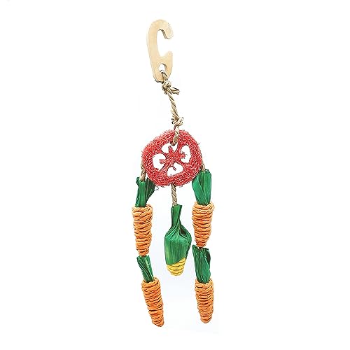 Fhsqwernm Kauspielzeug für Zähne Luffa Stroh Käfig Spielzeug Kleintier Handgemachte Luffa Stroh Umweltfreundlich Fhsqwernm Kauspielzeug für Zähne Luffa Stroh Käfig Spielzeug Kleintier Handgemachte Luffa Stroh Umweltfreundlich von Fhsqwernm