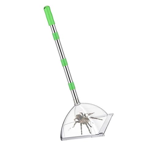 Fhsqwernm Professionelle Wespen Erfassen Geräte 32 Zoll Einstellbares Für Spinnenentfernung Home Camping Spiders Catcher Für Natürliche Enthusiasten von Fhsqwernm