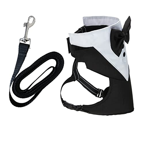 Fhtahun Haustierleine, Anti-Breakaway-Hundeanzug, EIN Brustgeschirr, Set, bestehend Brustgeschirr Leine Katzentreppen Für Ältere Katzen (Black, L) von Fhtahun