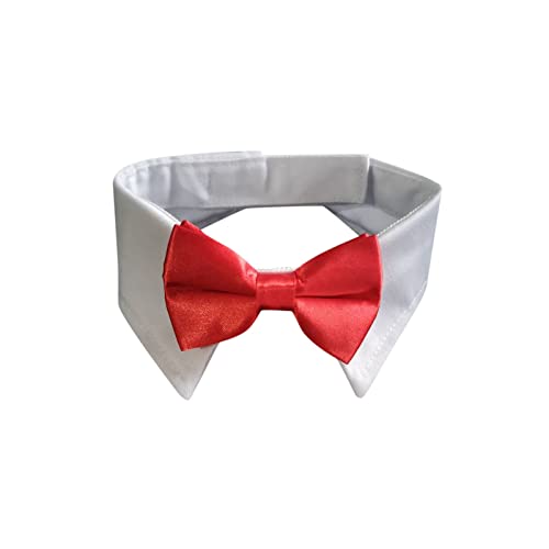 Verstellbares Halsband für Hunde, Hundehalsband mit schwarzer Krawatte, Hochzeit, formelle Hundehalsbänder für kleine, mittelgroße Hunde, Haustiere, , Bogenhalsband Hundehalsband Für Hunde (Red, S) Verstellbares Halsband für Hunde, Hundehalsband mit schwarzer Krawatte, Hochzeit, formelle Hundehalsbänder für kleine, mittelgroße Hunde, Haustiere, , Bogenhalsband Hundehalsband Für Hunde (Red, S) von Fhtahun
