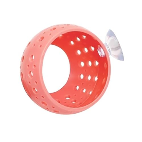 Fiauli Aquarium Shelter Fish Tank Tunnel Betta Spielzeug Versteck mit Saugnapfbecher Kleiner Versteck haltbarer Plastik -Garnelenhöhle für Dekor Seiche Passage Süßwasser Rosa Fiauli Aquarium Shelter Fish Tank Tunnel Betta Spielzeug Versteck mit Saugnapfbecher Kleiner Versteck haltbarer Plastik -Garnelenhöhle für Dekor Seiche Passage Süßwasser Rosa von Fiauli