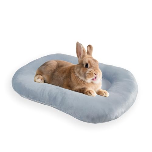 FiboPawer Kuscheliges Hasenbett für Kaninchen im Innenbereich, weich, kaufest, oval, für Kleintiere, waschbare Plüschmatte für Kaninchen, Meerschweinchen, Kaninchen, 40 x 31 cm FiboPawer Kuscheliges Hasenbett für Kaninchen im Innenbereich, weich, kaufest, oval, für Kleintiere, waschbare Plüschmatte für Kaninchen, Meerschweinchen, Kaninchen, 40 x 31 cm von FiboPawer