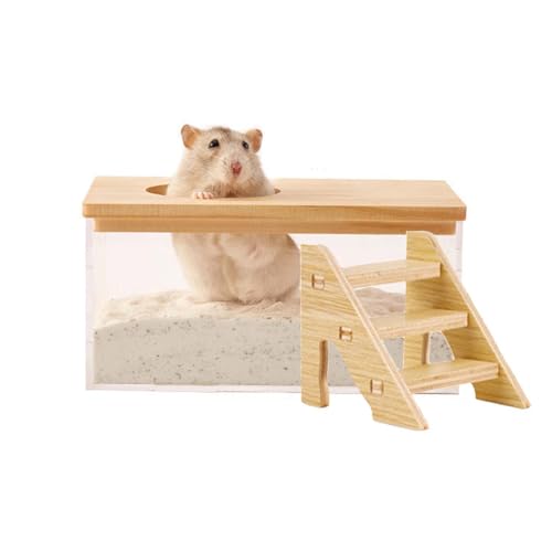 FiboPawer Transparenter rechteckiger Hamster-Sandkasten für Hamsterkäfig-Zubehör, Sandbehälter mit Kletterleiter, großer Sandkasten für Hamster, Staubbad und Spielsand, groß FiboPawer Transparenter rechteckiger Hamster-Sandkasten für Hamsterkäfig-Zubehör, Sandbehälter mit Kletterleiter, großer Sandkasten für Hamster, Staubbad und Spielsand, groß von FiboPawer
