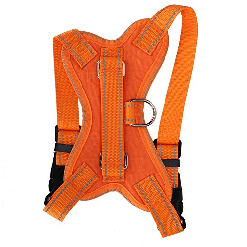 Fictory Reflektierendes Hundegeschirr, sicherere Nachtspaziergänge, verstellbarer Komfort, Anti-Breakaway, Massageeffekt, Orange, Größe M Fictory Reflektierendes Hundegeschirr, sicherere Nachtspaziergänge, verstellbarer Komfort, Anti-Breakaway, Massageeffekt, Orange, Größe M von Fictory
