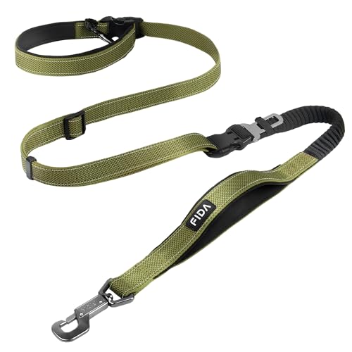 Fida 6-in-1-Hundeleine mit Autositz-Clip, verstellbar, zum Laufen, Wandern, stoßdämpfendes Bungee, doppelt gepolsterte, abnehmbare Griffe, Grün Fida 6-in-1-Hundeleine mit Autositz-Clip, verstellbar, zum Laufen, Wandern, stoßdämpfendes Bungee, doppelt gepolsterte, abnehmbare Griffe, Grün von Fida