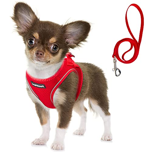 Fida Bequemes Hundegeschirr mit Leine, weiche Welpenweste, ausbruchsicher, atmungsaktiv, leicht, weiches Netzgewebe, verstellbar, reflektierend, zum Spazierengehen von kleinen Haustieren (S, Rot) von Fida