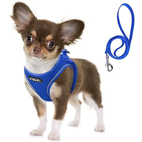Fida Comfy Hundegeschirr mit Leine, weiche Welpenweste, ausbruchsicher, atmungsaktiv, leicht, weiches Netz, verstellbares, reflektierendes Step-in-Geschirr für kleine Haustiere (S, Blau) von Fida