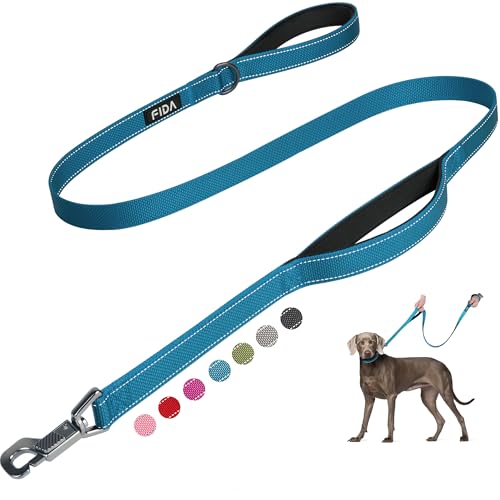 Fida Hundeleine, Laufleine, Zugleine, gepolstert, Zwei Griffe, einfacher Verschluss, robuste reflektierende Leinen für Kontrolle und Sicherheit, für kleine bis große Hunde, 1,2 m, Blau Fida Hundeleine, Laufleine, Zugleine, gepolstert, Zwei Griffe, einfacher Verschluss, robuste reflektierende Leinen für Kontrolle und Sicherheit, für kleine bis große Hunde, 1,2 m, Blau von Fida