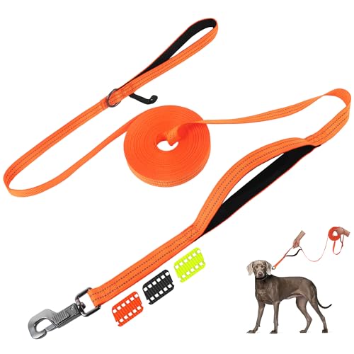 Fida Trainingsleine mit Verkehrsgriff, reflektierend, lange Leine für Hunde/Welpen, Gehorsamkeitstraining, Agility-Leine, weich gepolstertes Design für kleine, mittelgroße und große Rassen (10 m, Fida Trainingsleine mit Verkehrsgriff, reflektierend, lange Leine für Hunde/Welpen, Gehorsamkeitstraining, Agility-Leine, weich gepolstertes Design für kleine, mittelgroße und große Rassen (10 m, von Fida