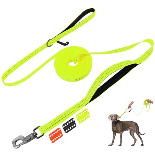 Fida Trainingsleine mit Verkehrsgriff, reflektierend, lange Leine für Hunde/Welpen, Gehorsamkeitstraining, Agility-Leine, weich gepolstertes Design für kleine, mittelgroße und große Rassen (10 m, Noen Fida Trainingsleine mit Verkehrsgriff, reflektierend, lange Leine für Hunde/Welpen, Gehorsamkeitstraining, Agility-Leine, weich gepolstertes Design für kleine, mittelgroße und große Rassen (10 m, Noen von Fida