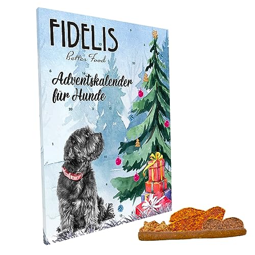 Fidelis - XL-Adventskalender für Hunde Hundebesitzer mit 50 gesunde Snacks von Fidelis