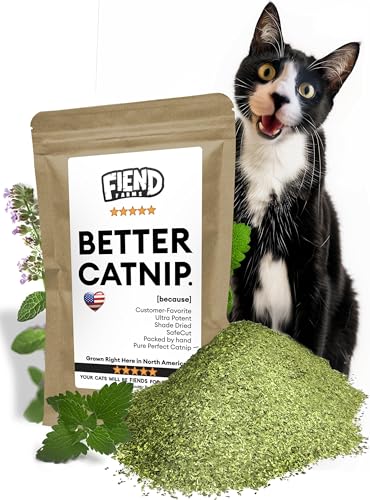 Fiend Premium Pure Katzenminze, sicherheitsgeschnittene, reine potente Katzenminze, ultrastark und superweich, Einführungspaket, 10 g Fiend Premium Pure Katzenminze, sicherheitsgeschnittene, reine potente Katzenminze, ultrastark und superweich, Einführungspaket, 10 g von Fiend